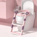 Potty Training Toilet Seat With Ladder For Children